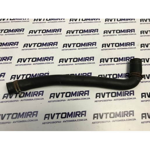 Патрубок радіатора верхній Ford Focus 2 1.8 TDCI 2005-2010 3M5H8260MD